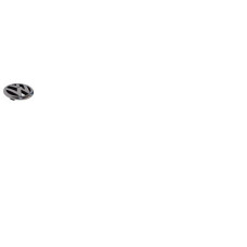 VW GRILLE BADGE POLO 6 CHROME