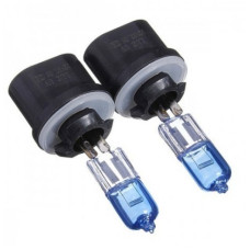 XENON GLOBES 894