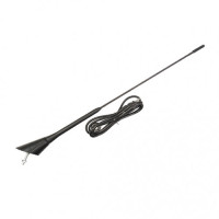 AERIAL BEESTING AMPLIFIED LONG/SHORT